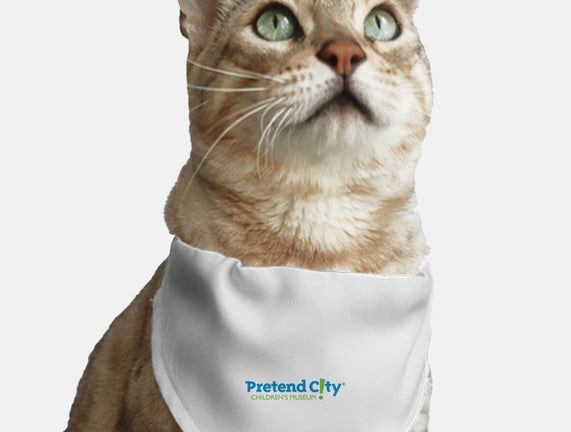 Pretend City