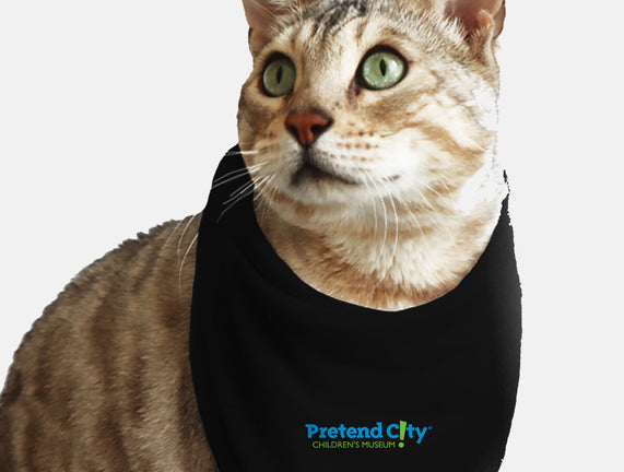 Pretend City