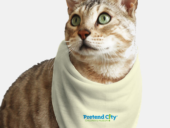 Pretend City