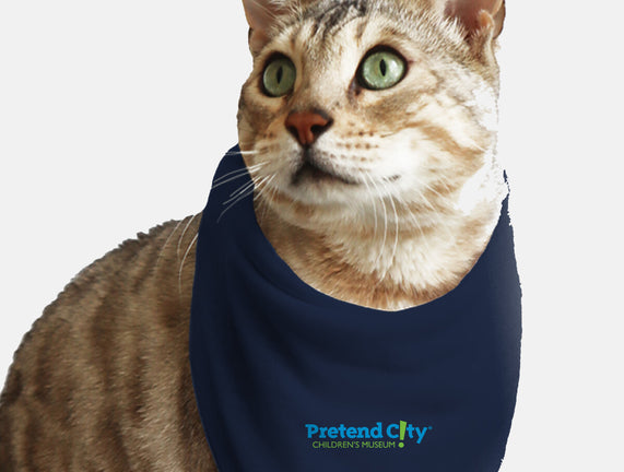 Pretend City