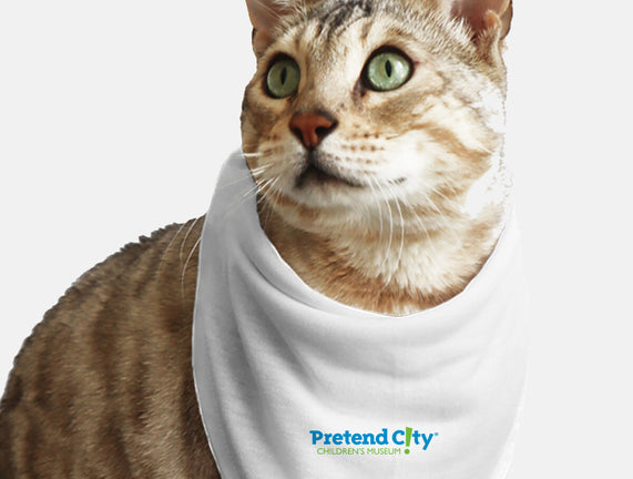 Pretend City