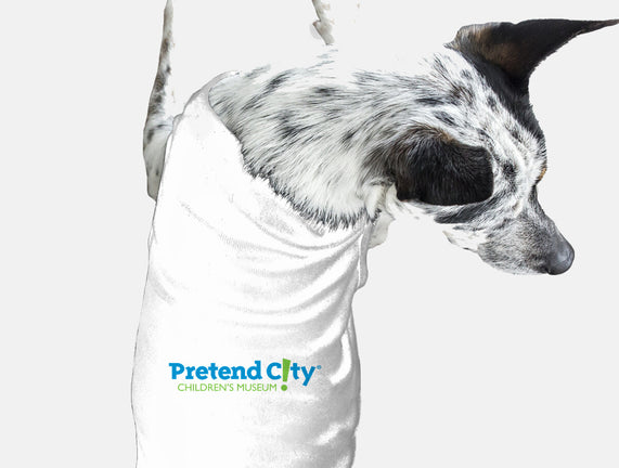 Pretend City