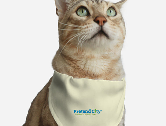 Pretend City