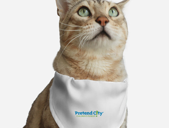 Pretend City