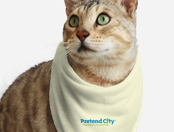Pretend City