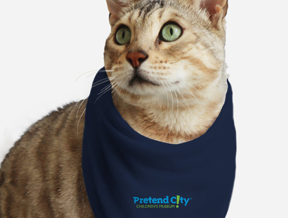 Pretend City