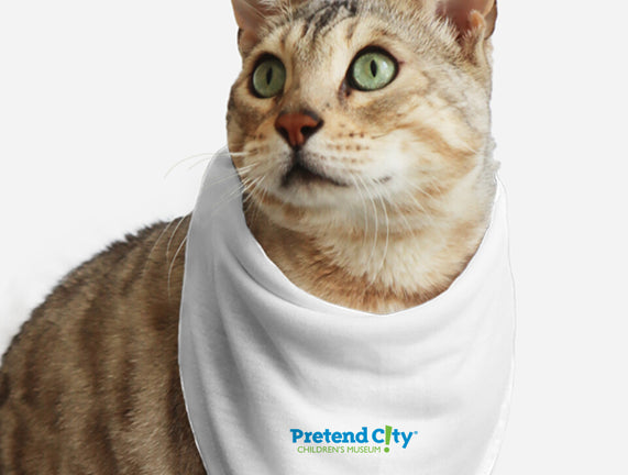 Pretend City