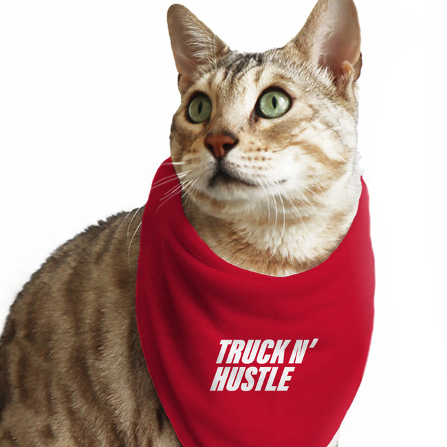 TNH White-Cat-Bandana-Pet Collar-truck-n-hustle